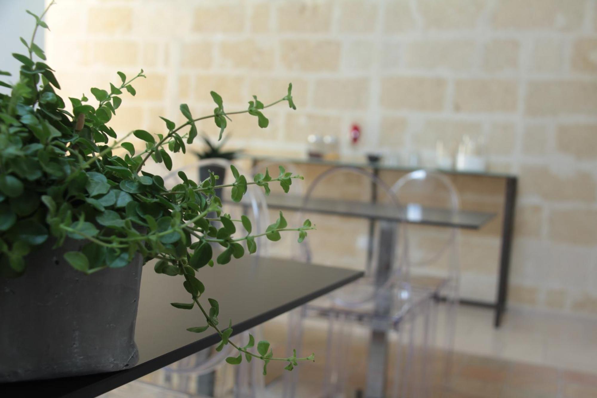 Lamia Room Rentals ماتيرا المظهر الخارجي الصورة